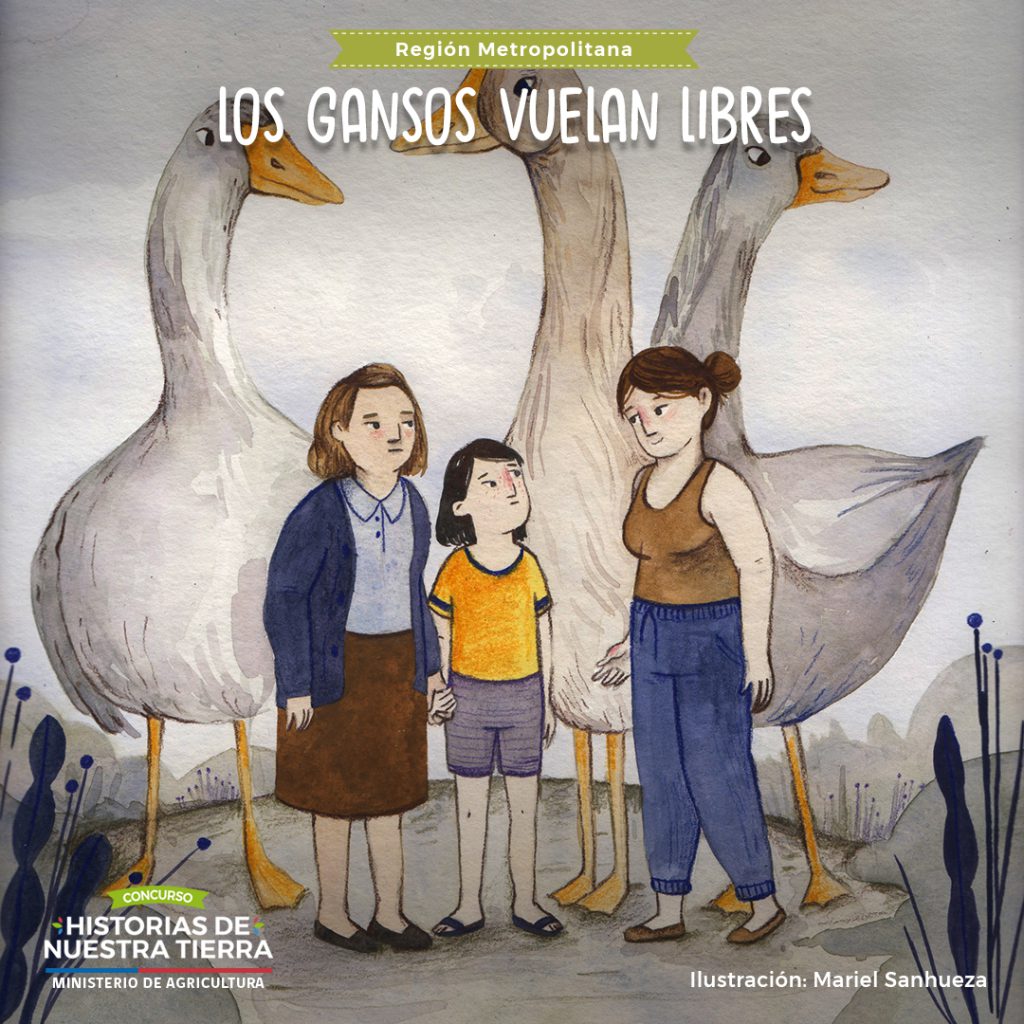 Los gansos vuelan libres – Historias de nuestra tierra